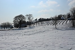 冬天,雪,冷