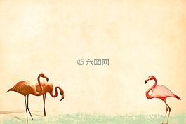火烈鸟,旧纸,复古