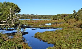 湖,水,景觀