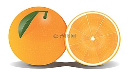 橙色,水果,柑橘
