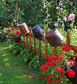 花園,鮮花,籬笆