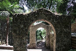 公園,樹木,樹