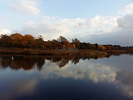 樹,秋,水