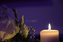 婚禮,裝飾,結婚
