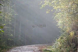 霧,morgenstimmung,秋季