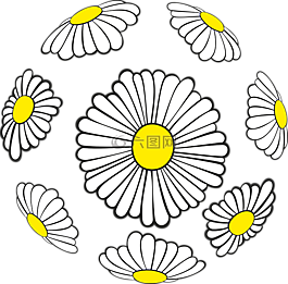 雛菊,球,春