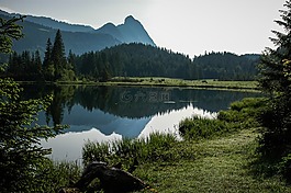 bergsee,沼澤湖,湖