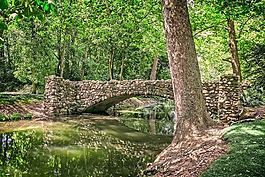 石橋,環(huán)礁湖,橋