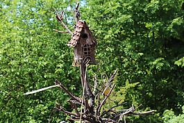 花園,樹,鳥舍