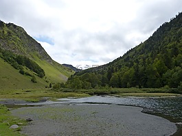 池塘,景觀,山高