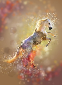 這匹馬,駿馬,神奇