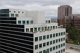 高層,企業(yè),業(yè)務(wù)