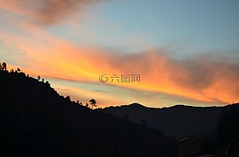 樹,山,性質(zhì)