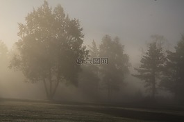 霧,性質(zhì),上午