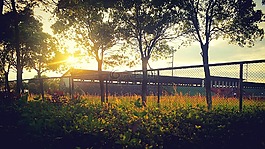 校園,夕陽,操場