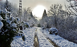 路徑,雪,歡快