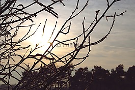 夕陽,黃昏,審美