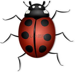 瓢蟲(chóng),動(dòng)物,甲蟲(chóng)