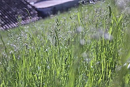 農(nóng)村,法國,自然