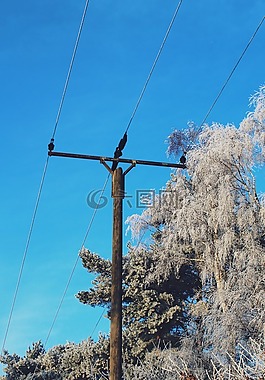 strommast,寒冬,冬天
