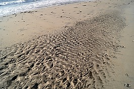 沙,海灘,海