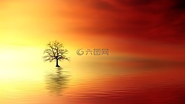 日落,黎明,太陽