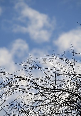 天空,分支機(jī)構(gòu),云