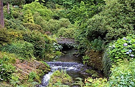 橋,花園,威爾士