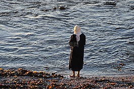 水,海,海洋