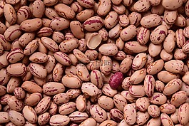 豆類(lèi),鵪鶉豆,健康