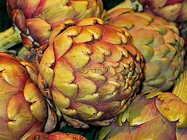 蔬菜,朝鲜蓟,健康