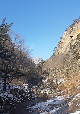 冬季,景观,风光