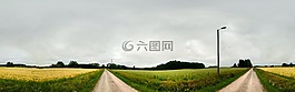原野,农业,景观