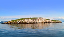 島,巖,沖浪