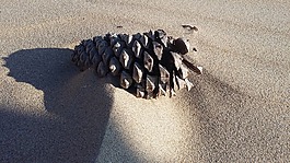 海灘,關(guān)閉,沙