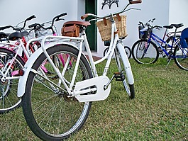 自行車(chē),白,自行車(chē)運(yùn)動(dòng)聯(lián)合會(huì)