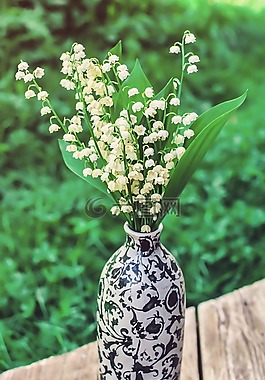 鈴蘭,花,鍋