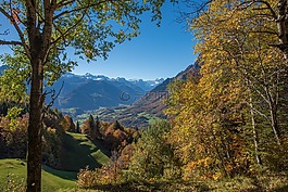 山,秋季,景觀