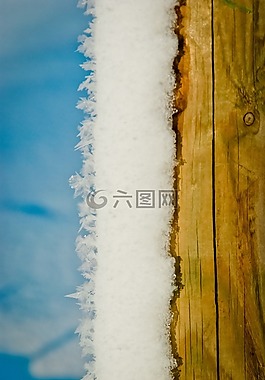 雪,文章,木