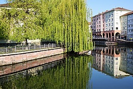 普福爾茨海姆,城市,河