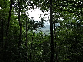 田纳西州山区,树,目睹