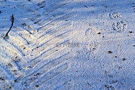 冬天,雪,追蹤