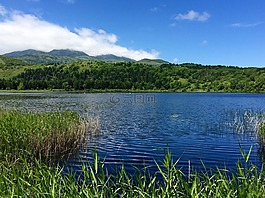 它的,機(jī)場(chǎng)的池塘,噸