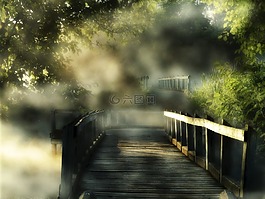 木,橋,晚間