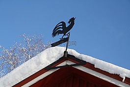 風向標,公雞,雪