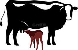 牛,小牛,符号