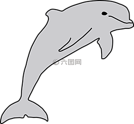 海豚,魚,海上生活