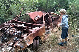 汽車,破碎,拆除