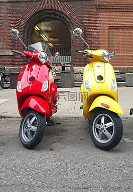 黑盾胡蜂,滑板車,摩托車