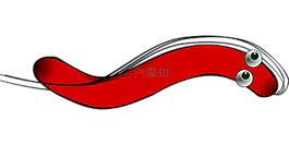 細(xì)菌,螺旋,病毒